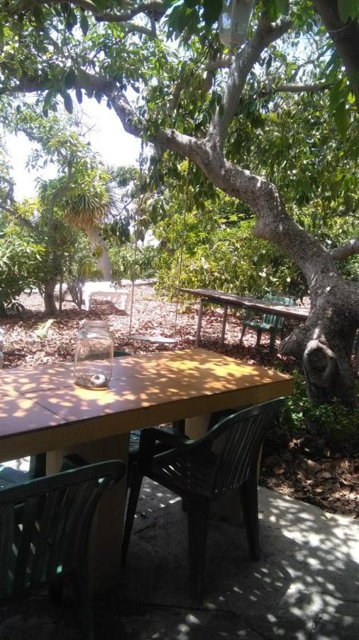 Casa Los Mangos Villa Tijarafe Luaran gambar